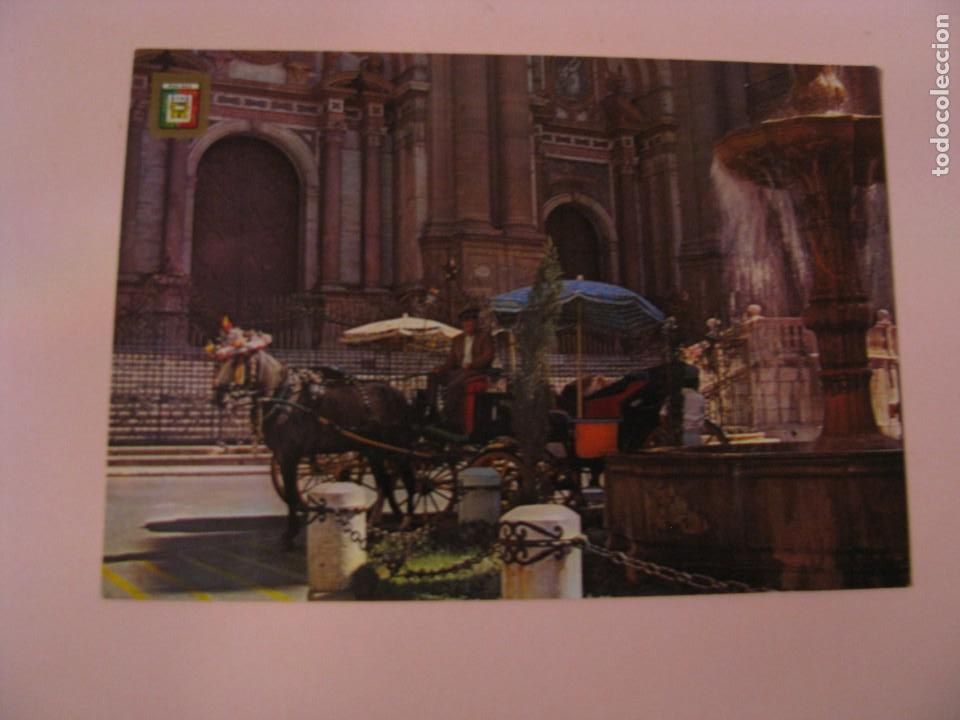Postales: POSTAL DE MALAGA. PLAZA DE OBISPO. L. DOMINGUEZ.