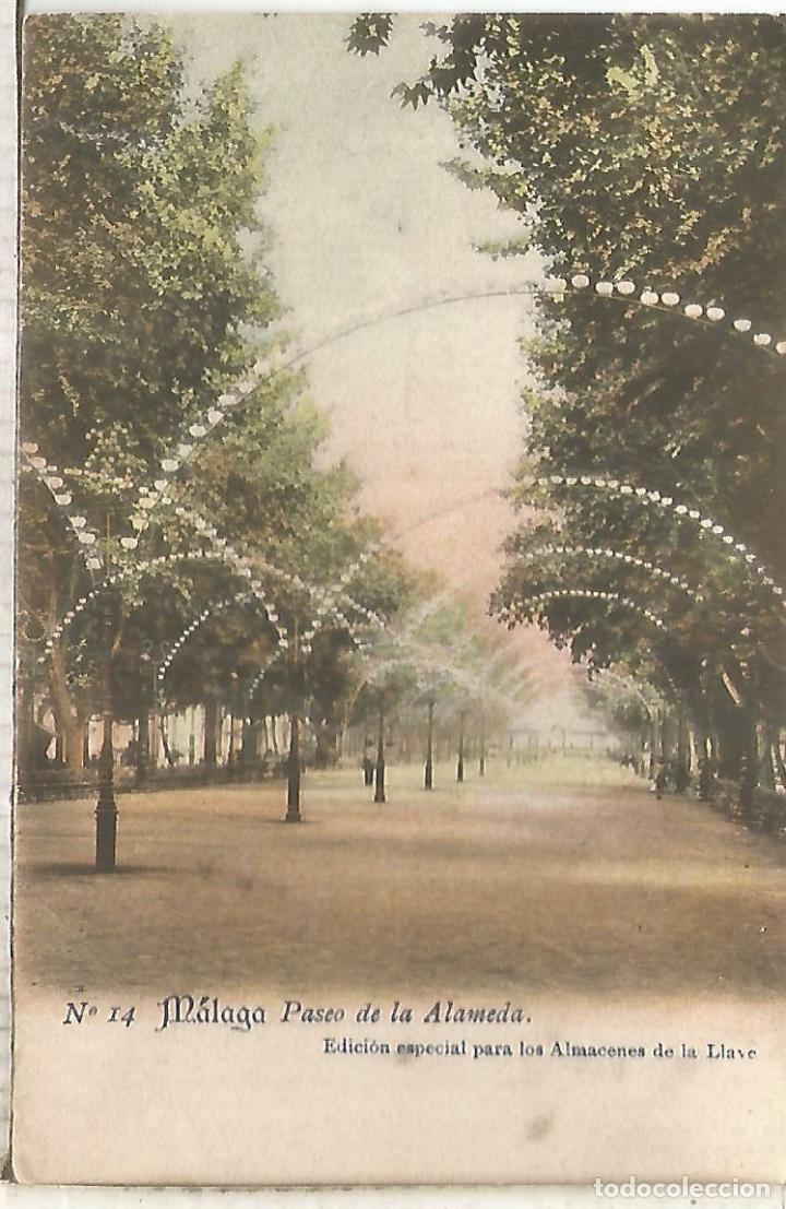 Postales: MALAGA PASEO ALAMEDA DORSO SIN DIVIDIR