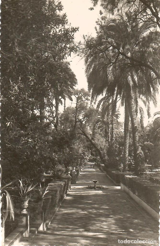 Postales: N&ordm; 185-SEVILLA. Reales Alc&aacute;zares. Jardines. Estanque del Rey Don...Sin circular.ED.GARC&Iacute;A GARRABELLA