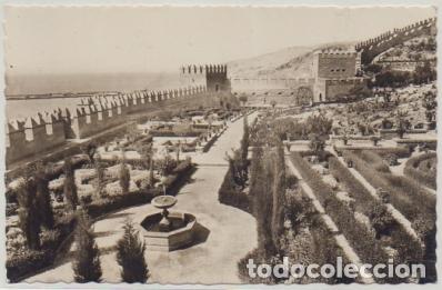 Postales: POSTAL DE ALMERIA. JARDINES DE LA ALCAZABA P-ANAL-203