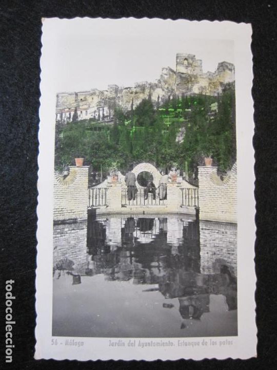 Postales: MALAGA-JARDIN DEL AYUNTAMIENTO-ESTANQUE DE LOS PATOS-FOTOGRAFICA-POSTAL ANTIGUA-(80.842)