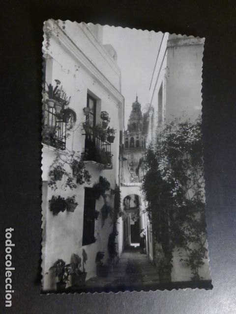 Cartoline: CORDOBA CALLEJA DE LAS FLORES