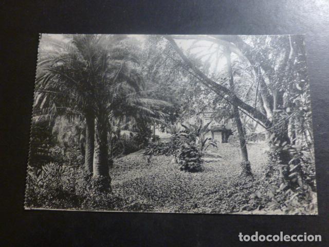 Postales: MALAGA JARDINES DE LA CONCEPCION - Foto 1