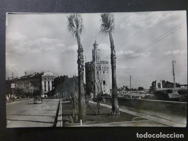 Postales: SEVILLA TORRE DEL ORO - Foto 1