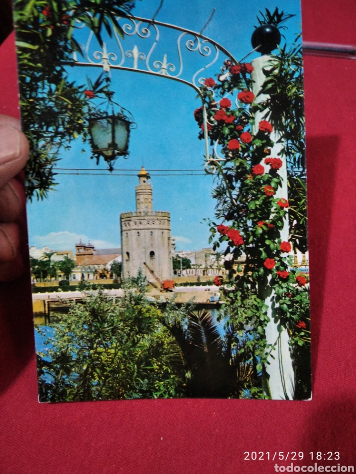 Postales: Sevilla torre del oro - Foto 1