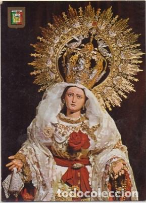 Postales: POSTAL MALAGA. SEMANA SANTA N&ordm; 16. MARIA STMA. DE LA AMARGURA (ZAMARILLA) P-ANMA-455