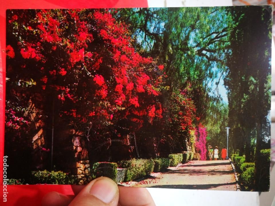 Postales: Postal Costa del Sol Jardines N 1092 BEASCOA S/C