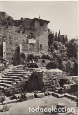 Postales: POSTAL DE MALAGA. ALCAZABA. ANFITEATRO ROMANO   P-ANMA-760