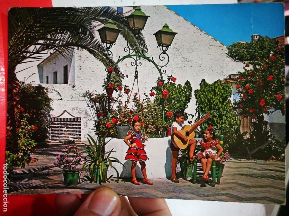 Postales: Postal MALAGA Patio T&iacute;pico Andaluz N 1490 PISTALES COSTA DEL SOL S/C estado regular