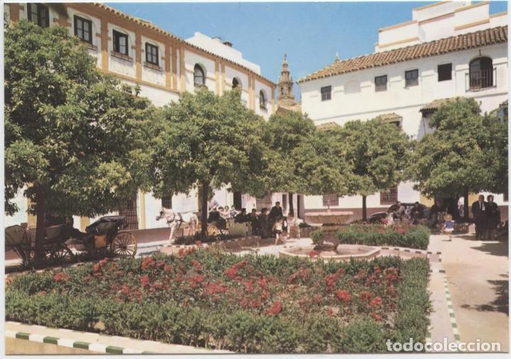 Postales: N&ordm; 2.024-SEVILLA. Plaza de Do&ntilde;a Elvira. Sin circular. EDICIONES ARRIBAS