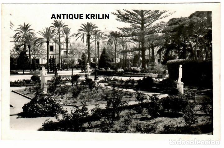 Postales: CADIZ / CORTIJO DE LOS ROSALES , PARQUE GENOVES / POSTAL FOTOGRAFICA / DORSO SIN IMPRIMIR