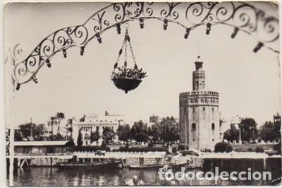 Postales: POSTAL DE SEVILLA. TORRE DEL ORO N&ordm; 4   P-ANSE-1904