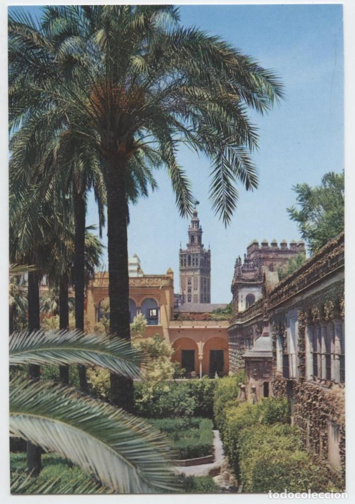 Postales: N&ordm; 2.009-SEVILLA. Jardines del Alc&aacute;zar. Sin circular. EDICIONES ARRIBAS