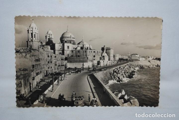 Postales: CADIZ AVENIDA CAMPO DEL SUR . 1950