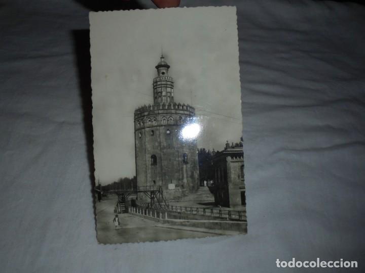 Postais: 79 SEVILLA.-TORRE DEL ORO.-CIRCULADA.-FECHADA 1954