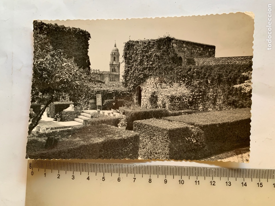 Postales: POSTAL. MALAGA. JARDINES DE LA ALCAZABA. FOTO D. CORTES.