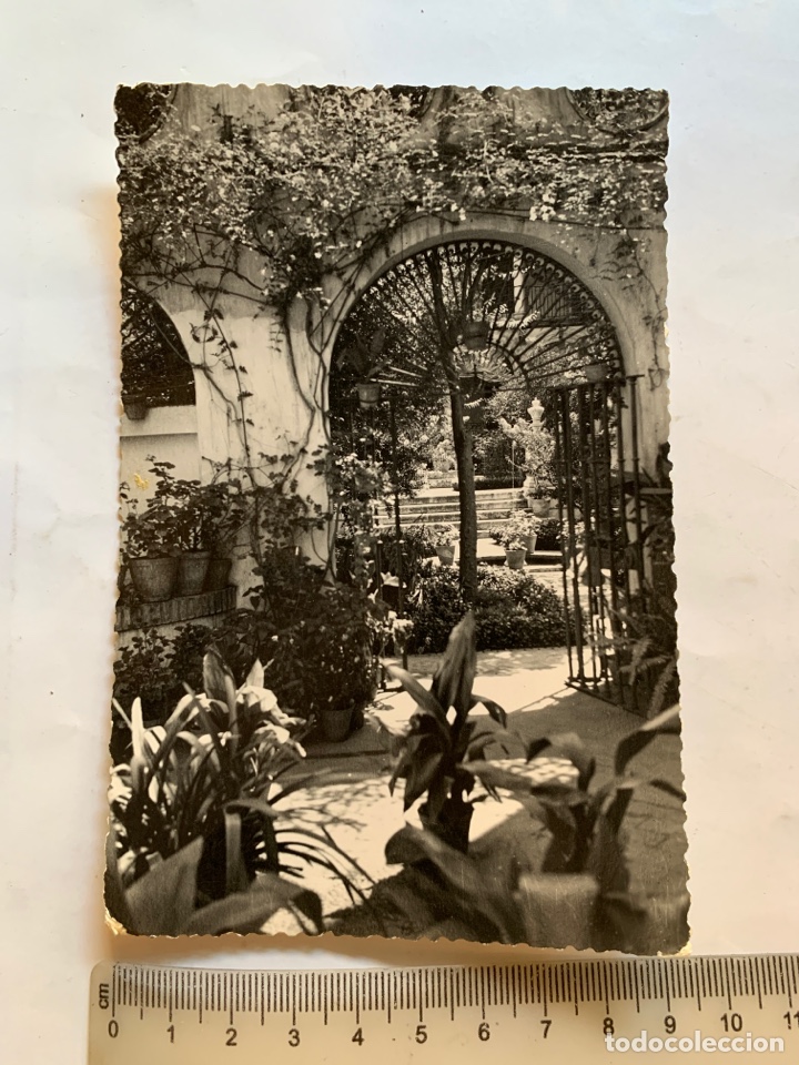 Postales: POSTAL. MALAGA. JARDINES DEL PALACIO EPISCOPAL. FOTO D. CORTES.