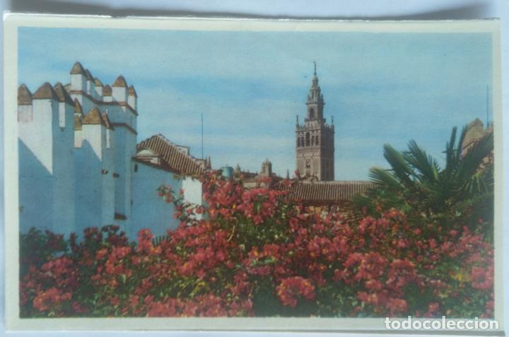 Postales: SEVILLA LOTE 10 POSTALES - Foto 5