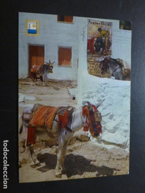 Postales: COSTA DEL SOL MALAGA - Foto 1