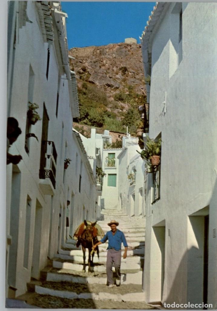 Cartes Postales: em1299 Frigiliana - Calle El Zacatin 1972 - Som N&ordm;304 burro