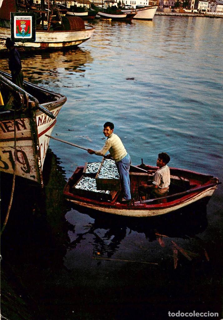 Postales: em1493 Algeciras Puerto Pesquero Arribada A La Lonja 1964 Escudo De Oro N&ordm;16 Animada