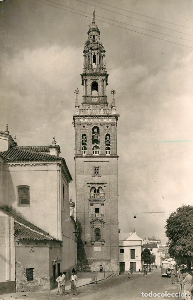 Postales: ea638 Carmona - Torre De San Pedro La Giraldilla - Garrabella N&ordm;13 bus