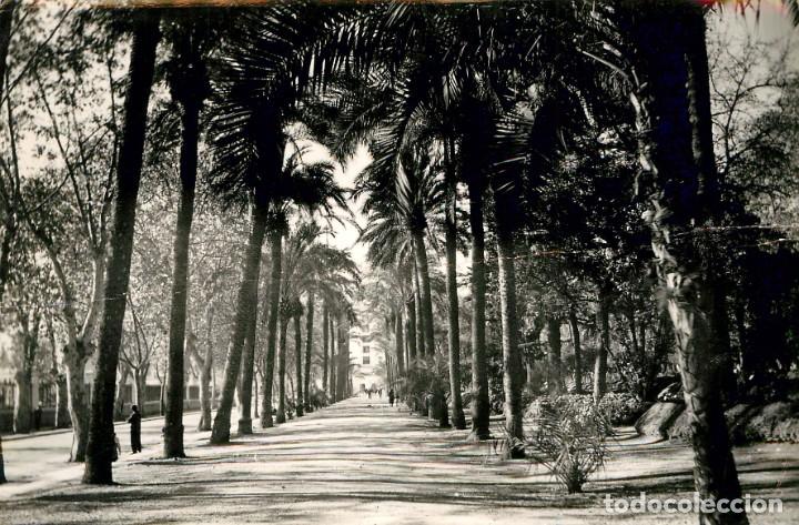 Postales: ea709 Malaga paseo del parque cortes