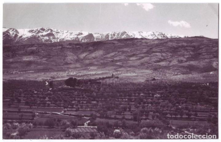 Postales: Fi&ntilde;ana (Almer&iacute;a): Vista. No consta editor. no circulada (A&ntilde;os 50)