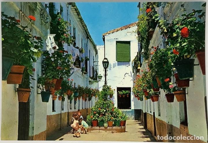 Postales: COSTA DEL SOL, Calle T&iacute;pica. Ed. Beascoa. Circulada, sin sello.