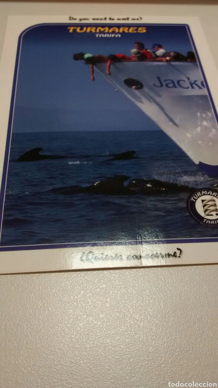 Postales: TURMARES. TARIFA. SIN CIRCULAR (A1) - Foto 1