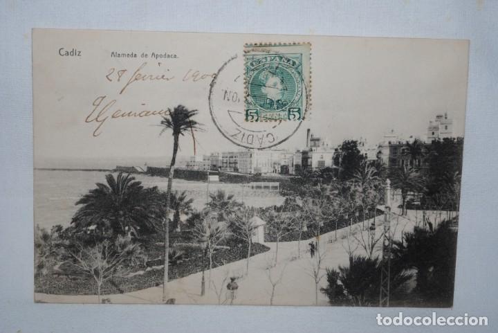 Postales: CADIZ ALAMEDA DE APODACA 1909