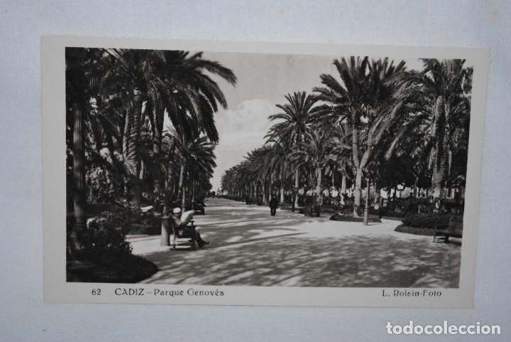 Postkarten: CADIZ PARQUE GENOVES PASEO DE LAS PALMERAS .