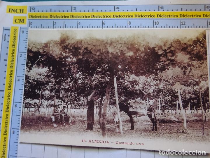 Postales: POSTAL DE ALMERIA UVERA Y MINERA. 86 CORTANDO UVA. FACS&Iacute;MIL REPRODUCCI&Oacute;N.