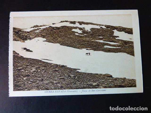 Postcards: SIERRA NEVADA GRANADA DE HAZA DE DILA POSTAL