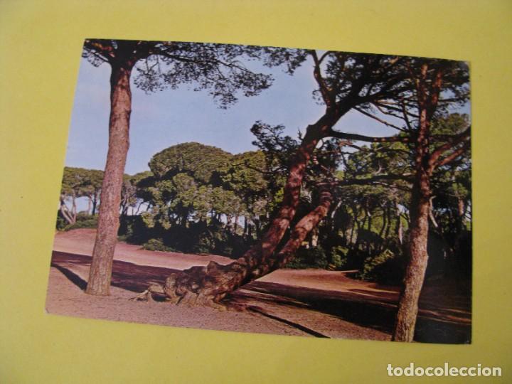 Postales: POSTAL DE PUERTO REAL (CADIZ). LAS CANTERAS. LOS TRES PINITOS. ARTFI. CIRCULADA 1969.