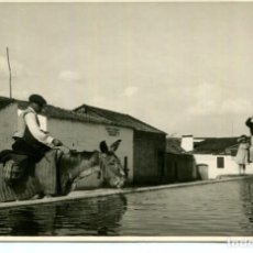 Postales: GRANADA-PUEBLO CON MULA EN EL ABREVADERO-FOTOGRÁFICA- AÑO 1952 MUY RARA. Lote 292332978