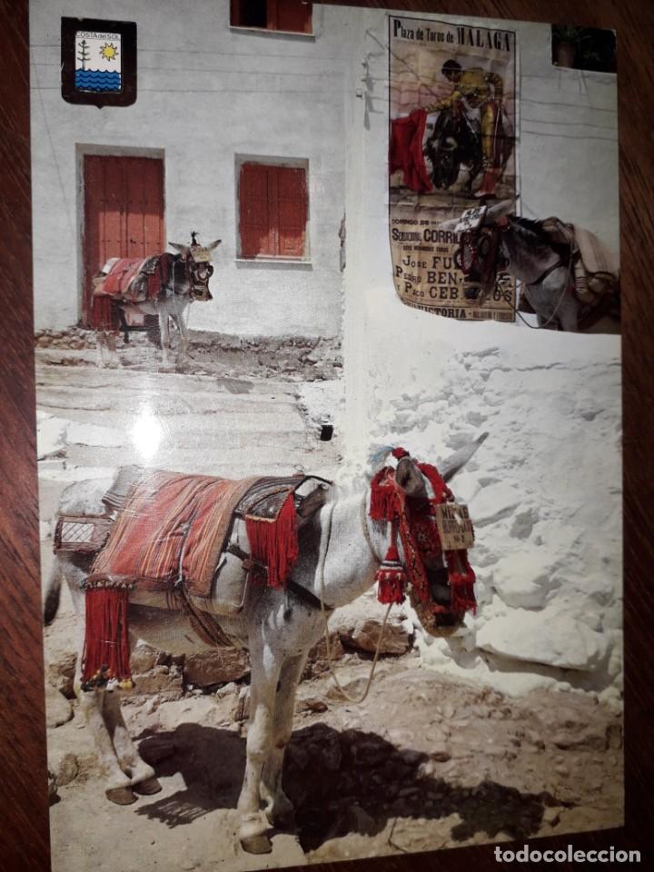 Cartes Postales: N&ordm; 6027 POSTAL COSTA DEL SOL MALAGA BURROS ATAVIADOS TIPICAMENTE TAXI