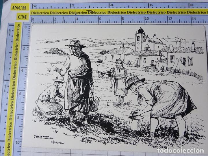 Cartoline: POSTAL DE PORTUGAL. DIBUJO ALGARVE T&Iacute;PICO. JULIO AMARO. MUJERES CAMPESINAS. 3019