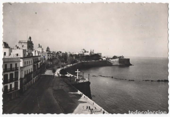 Postales: POSTAL- CADIZ-ALAMEDA DE APODACAR