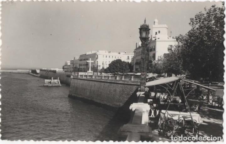 Postales: POSTAL- CADIZ- ALAMEDA DE APODACA