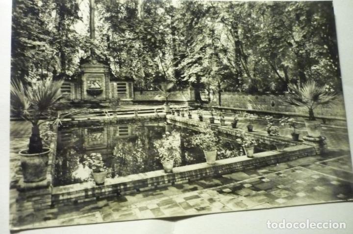 Postales: postal sevilla-parque maria luisa-gloriera circulada cm