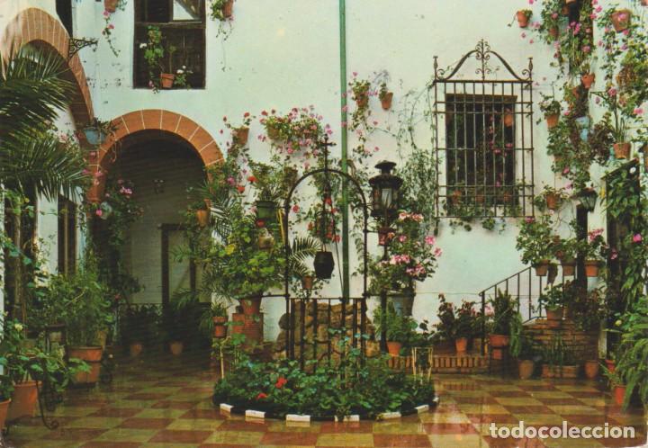 Postales: (438) MARBELLA . PATIO TIPICO - Foto 1