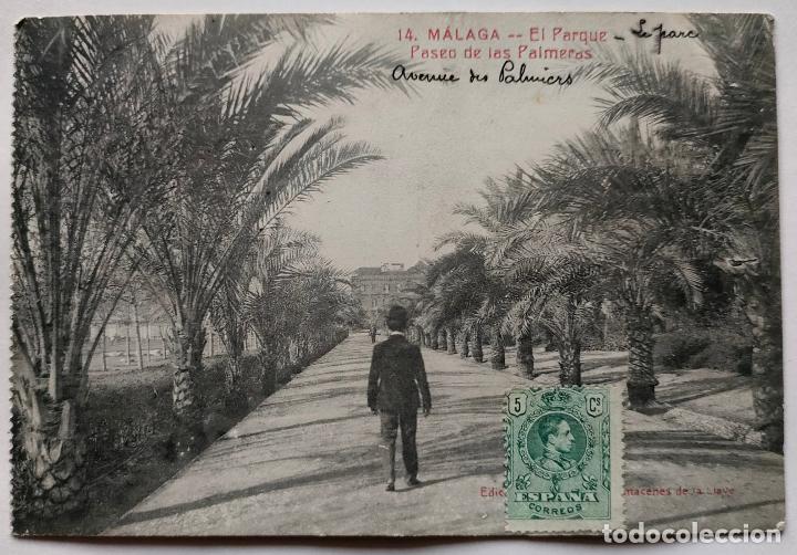 Postcards: MALAGA EL PARQUE PASEO DE LAS PALMERAS ED. ALMACENES LA LLAVE