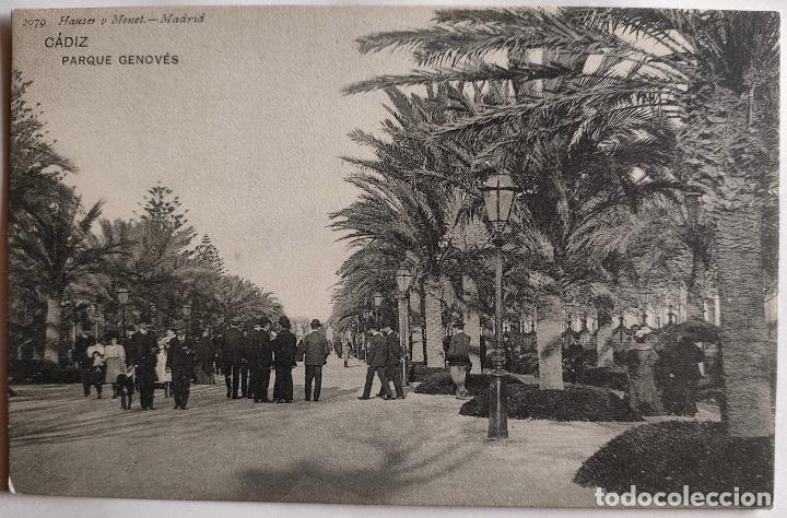 Postkarten: CADIZ PARQUE GENOVES HAUSER
