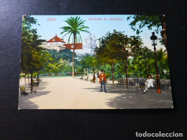 Postales: CADIZ ALAMEDA DE APODACA - Foto 1