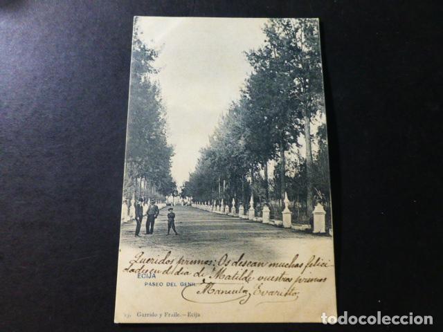 Postales: ECIJA SEVILLA PASEO DEL GENIL - Foto 1