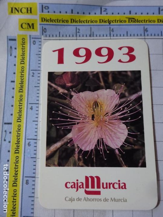 Cartes Postales: CALENDARIO DE BOLSILLO DE CAJAS DE AHORRO BANCOS. A&Ntilde;O 1993 CAJA MURCIA