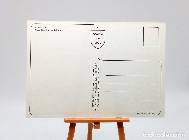 Postales: Postal 1077 C&aacute;diz - Foto 2