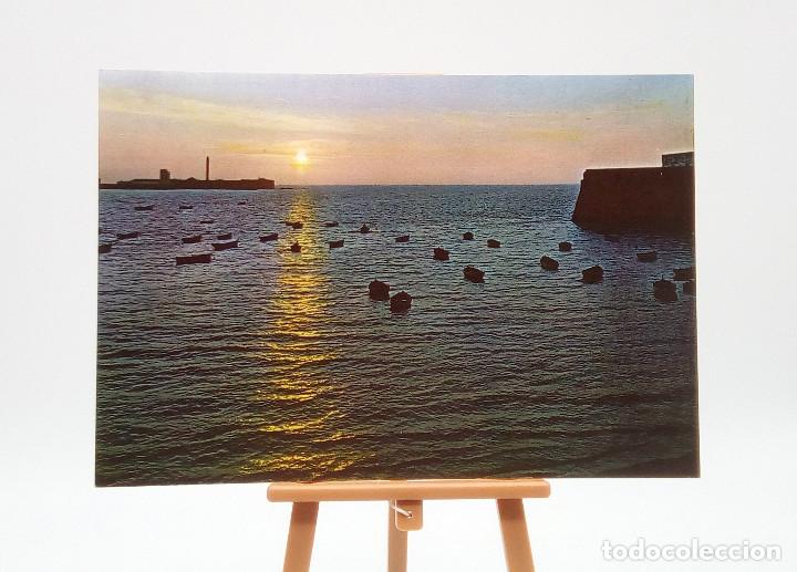 Postales: Postal 1041 C&aacute;diz - Foto 1