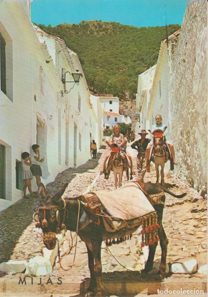 Postales: (5029) MIJAS . BURRITOS TIPICOS - Foto 1
